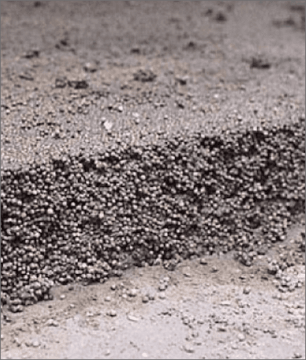 Béton léger polystyrène - Isolation et légèreté